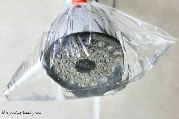 shower head soaking in vinegar