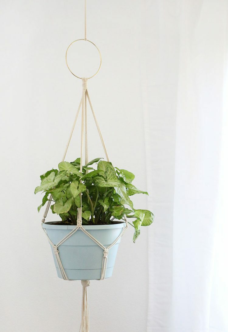 macrame plant hanger