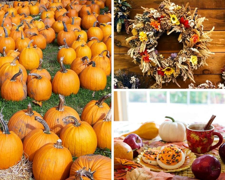 Fall Bucket List: Fun Activities to Try This Season